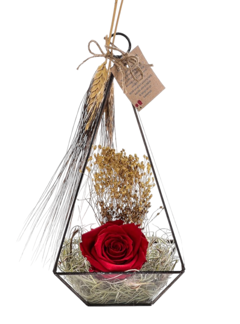 Kırmızı Solmayan Gül Cam Teraryum – Kalıcı Aşkın Zarif Simgesi