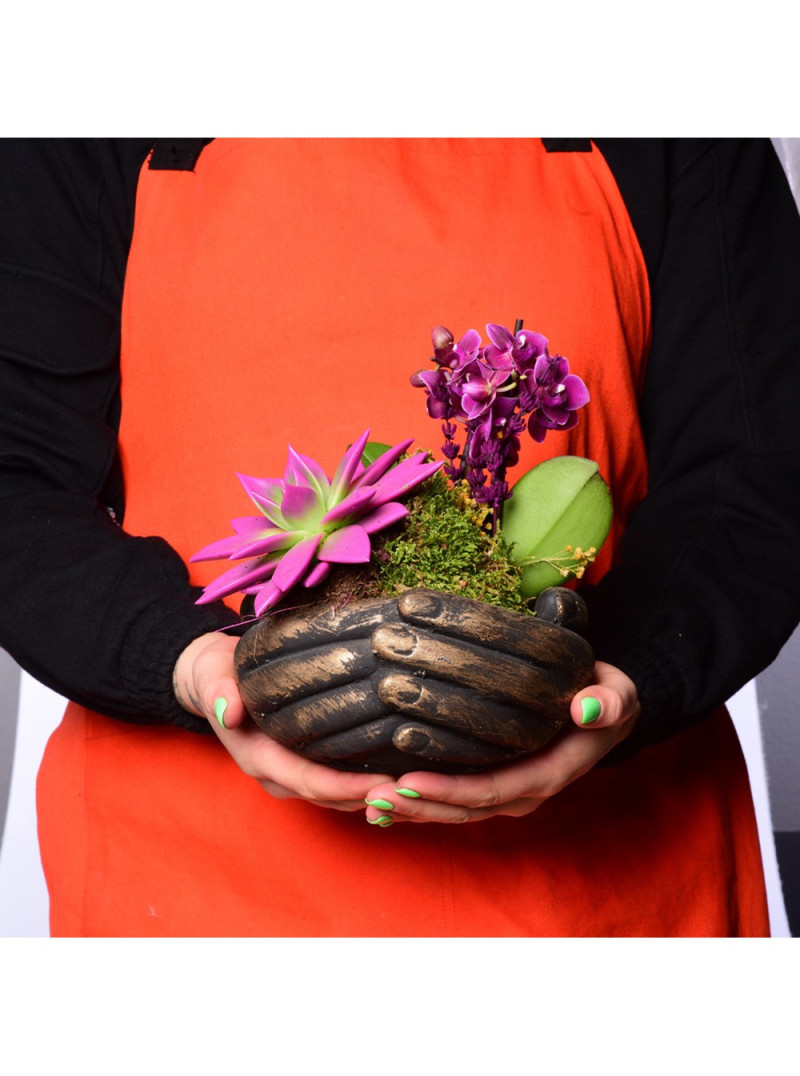 El Figürlü Sukulent ve Orkide Aranjmanı – Zarif ve Anlamlı Hediye