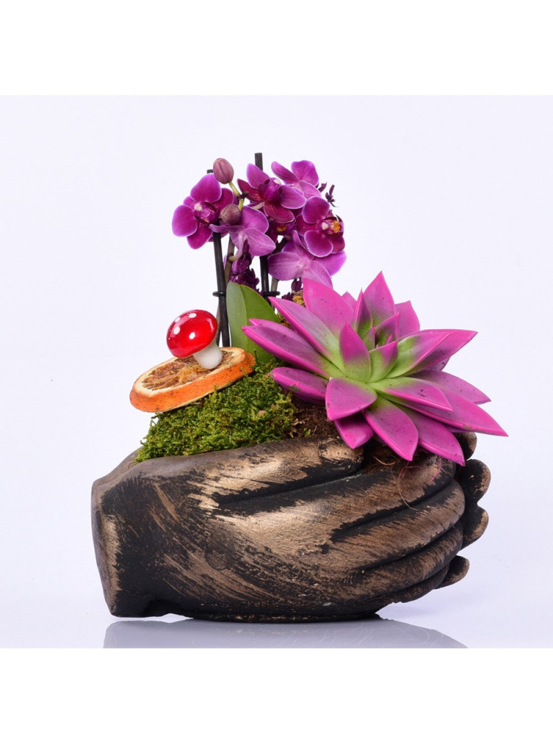 El Figürlü Sukulent ve Orkide Aranjmanı – Zarif ve Anlamlı Hediye